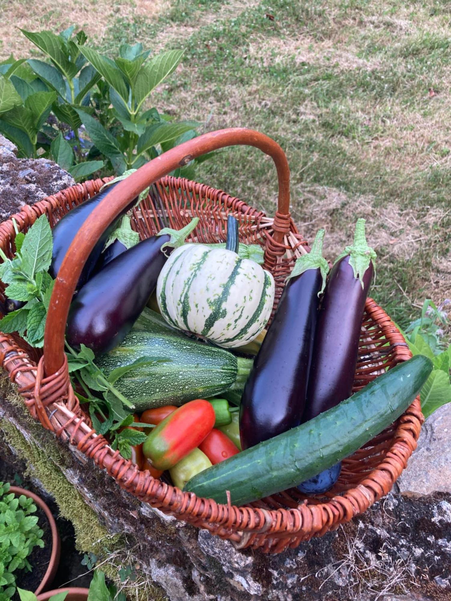 Au Pre Fleuri Eco Glamping Otel Le Lindois Dış mekan fotoğraf